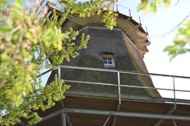 Ferienwohnung Bentje, Uttum (Krummhörn)