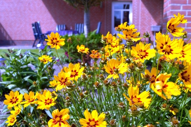 Ferienwohnung Conny, Ostgroßefehn (Großefehn)