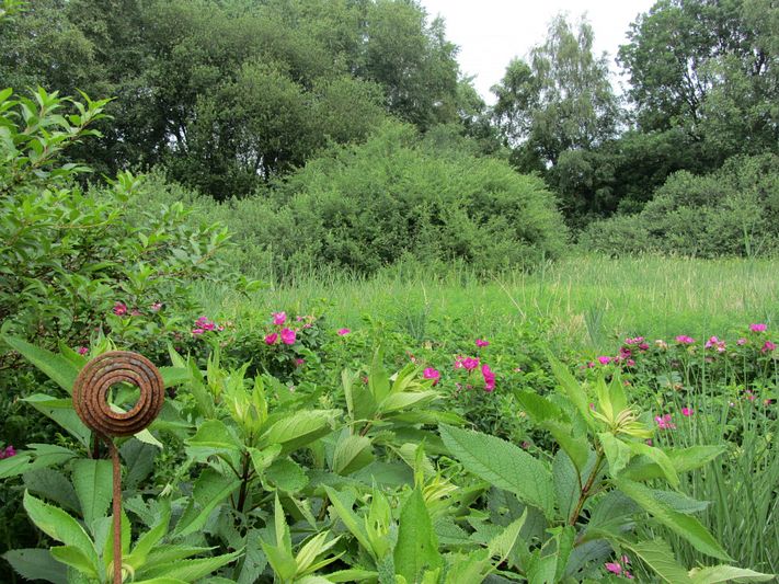 Apartment Ostfriesland zu Zweit, Oldersum (Moormerland)